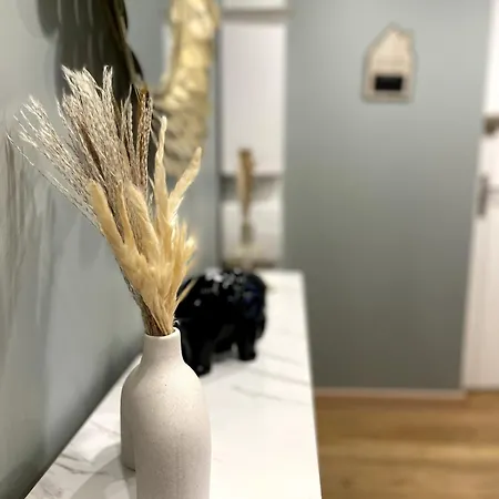 Le Parifou Family In Puy De Dome *