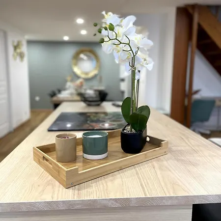 Le Parifou Family In Puy De Dome